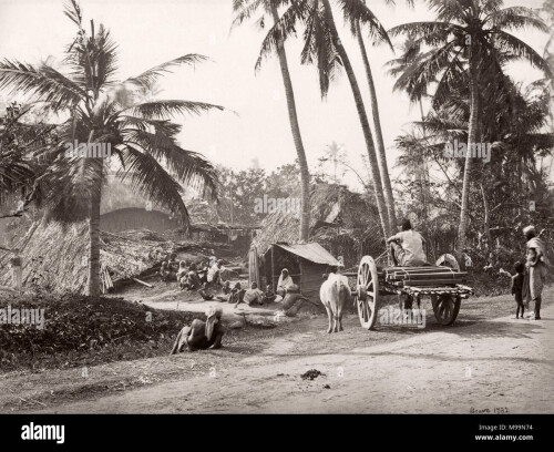 19th-century-vintage-photograph-india-village-life-in-bengal-samuel-bourne-1860s-M99N74.jpg