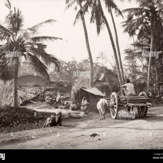 19th-century-vintage-photograph-india-village-life-in-bengal-samuel-bourne-1860s-M99N74