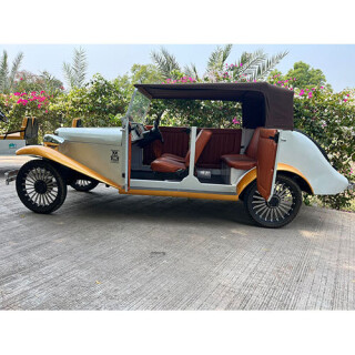 Vintage-Electric-Car-Buggy.