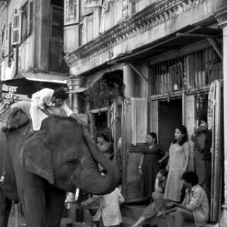 an-elephant-collects-tips-from-the-prostitutes-on-falkland-road-for-good-luck-mumbai-1980_u-l-pjky140