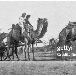 gettyimages-1027176000-612x612