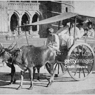 gettyimages-1160793260-612x612