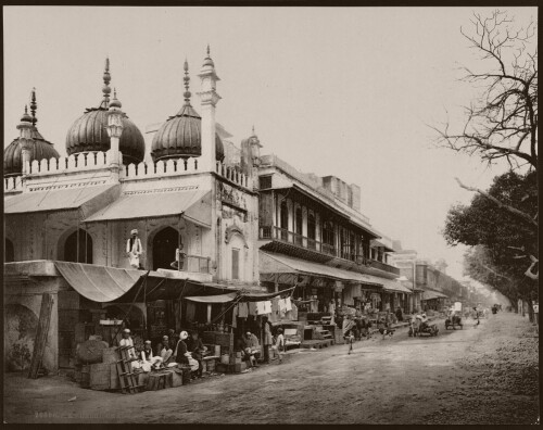 vintage historic bw photos of delhi india 1890s 01